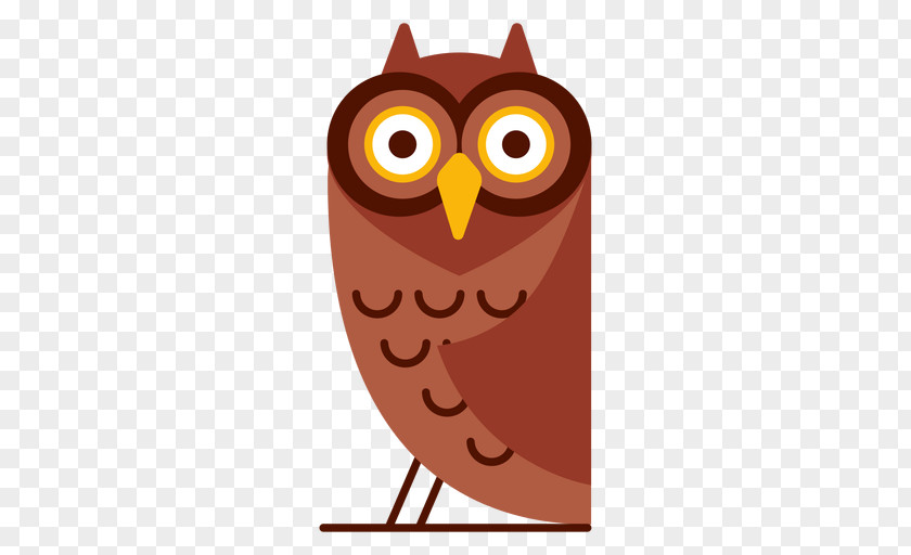 Screech Owl Branch Cartoon PNG
