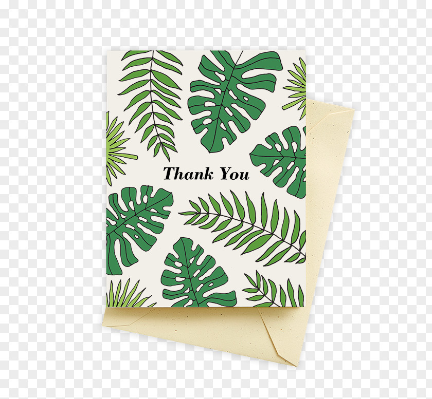 Thank You Cards Paper Goods Leaf Frond Dishwasher PNG