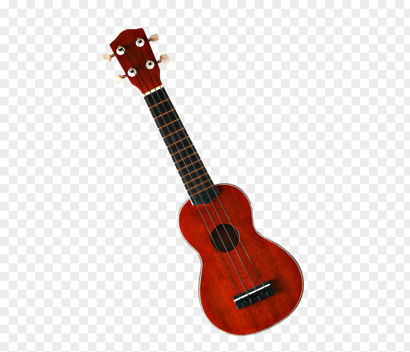 Acoustic Guitar Ukulele Bass Tiple Cuatro PNG