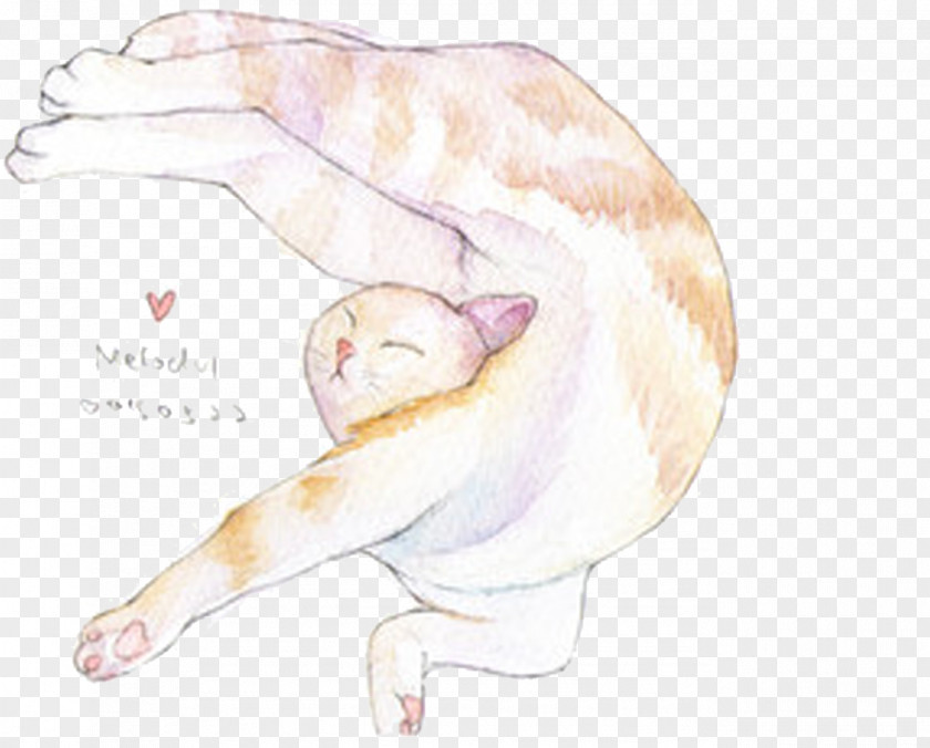 Cute Watercolor Cat Shape Carnivora Illustration PNG