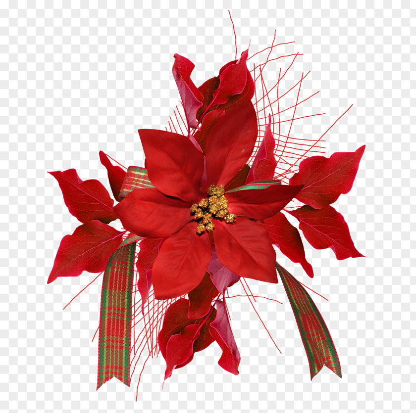 Flower Floral Design Cut Flowers Bouquet Christmas Ornament PNG
