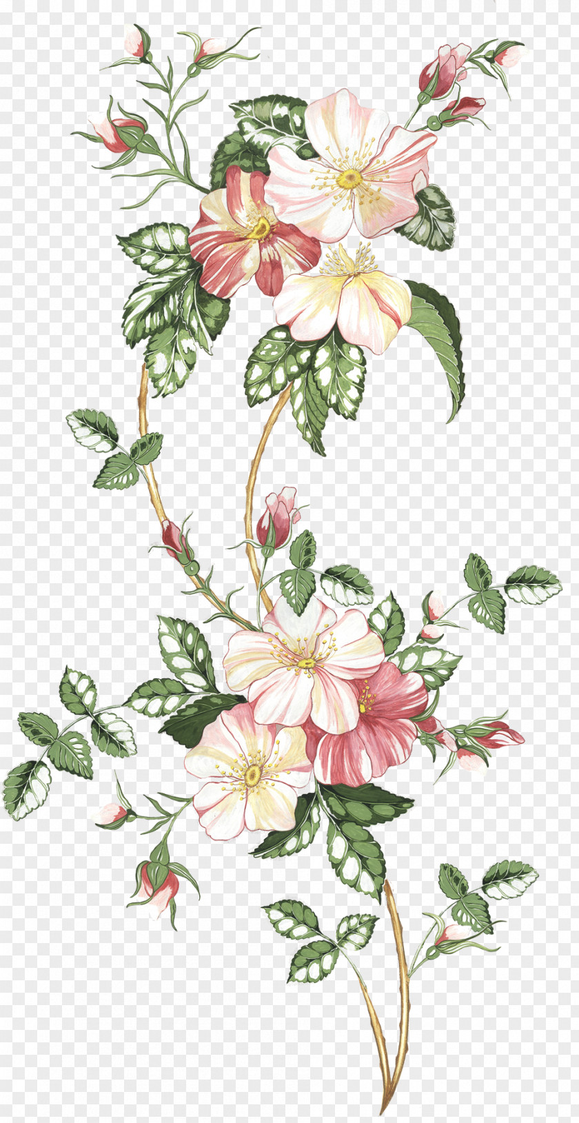 Flower Floral Design Drawing Watercolor Painting Sketch PNG