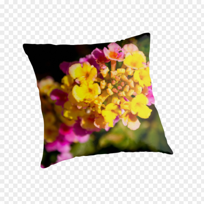 Pillow Throw Pillows Cushion Violet Family PNG