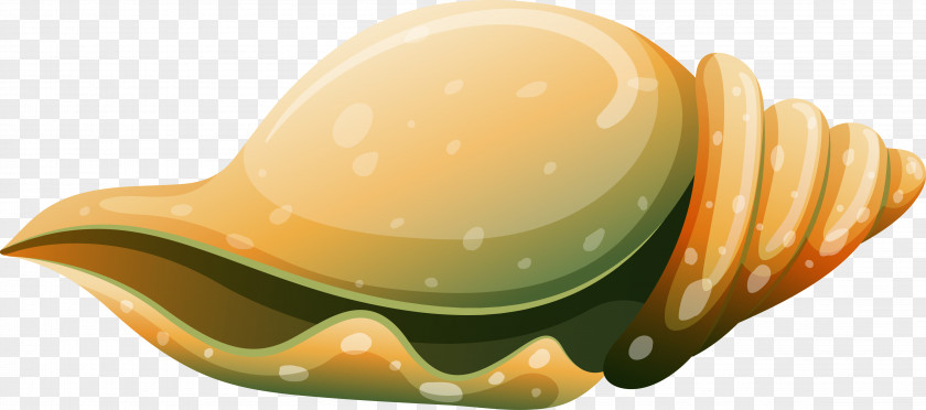 Seafood Snail Vector Euclidean Computer File PNG
