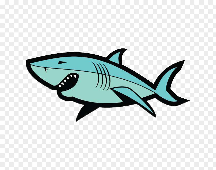 Shark Cartoon Illustration PNG