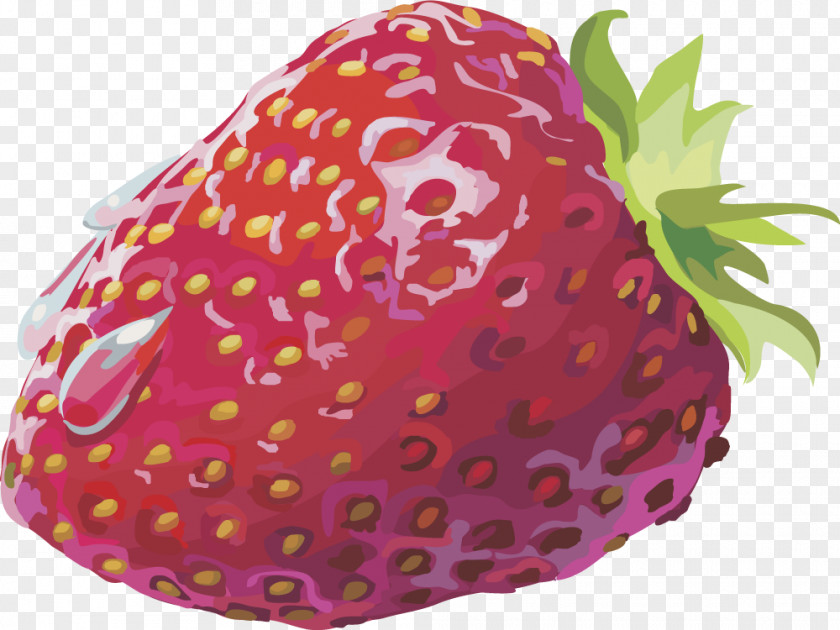Vector Strawberry Fruit Blueberry Aedmaasikas PNG