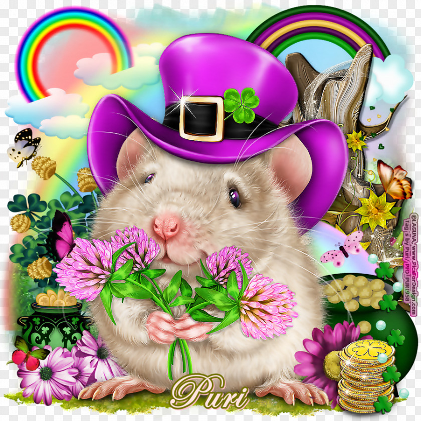 Computer Mouse Hamster Whiskers Snout PNG