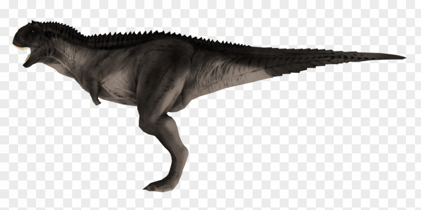 Dinosaur Tyrannosaurus Acrocanthosaurus Carnotaurus Eocarcharia Zoo Tycoon 2 PNG