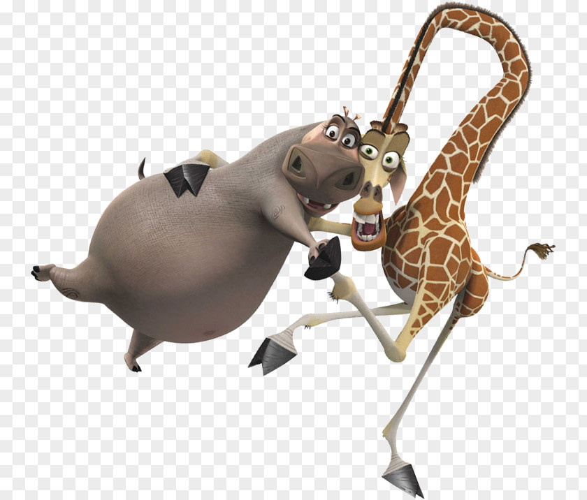 Madagascar Melman Gloria Alex Marty PNG