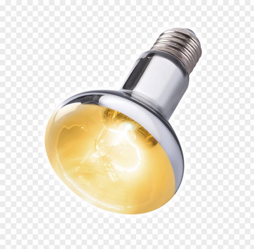 Metal Brass Light Bulb Cartoon PNG