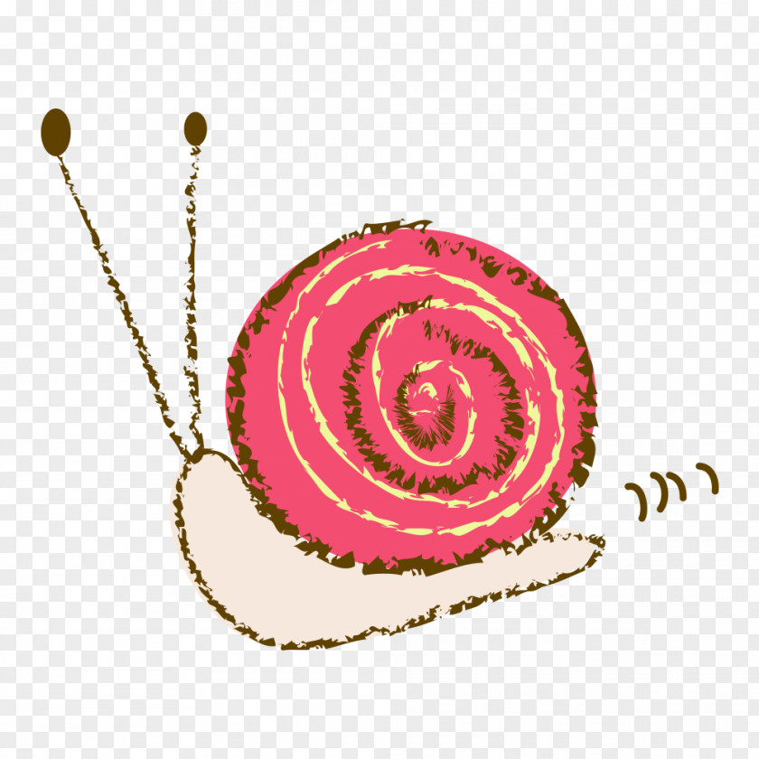 Snails Snail Orthogastropoda Clip Art PNG