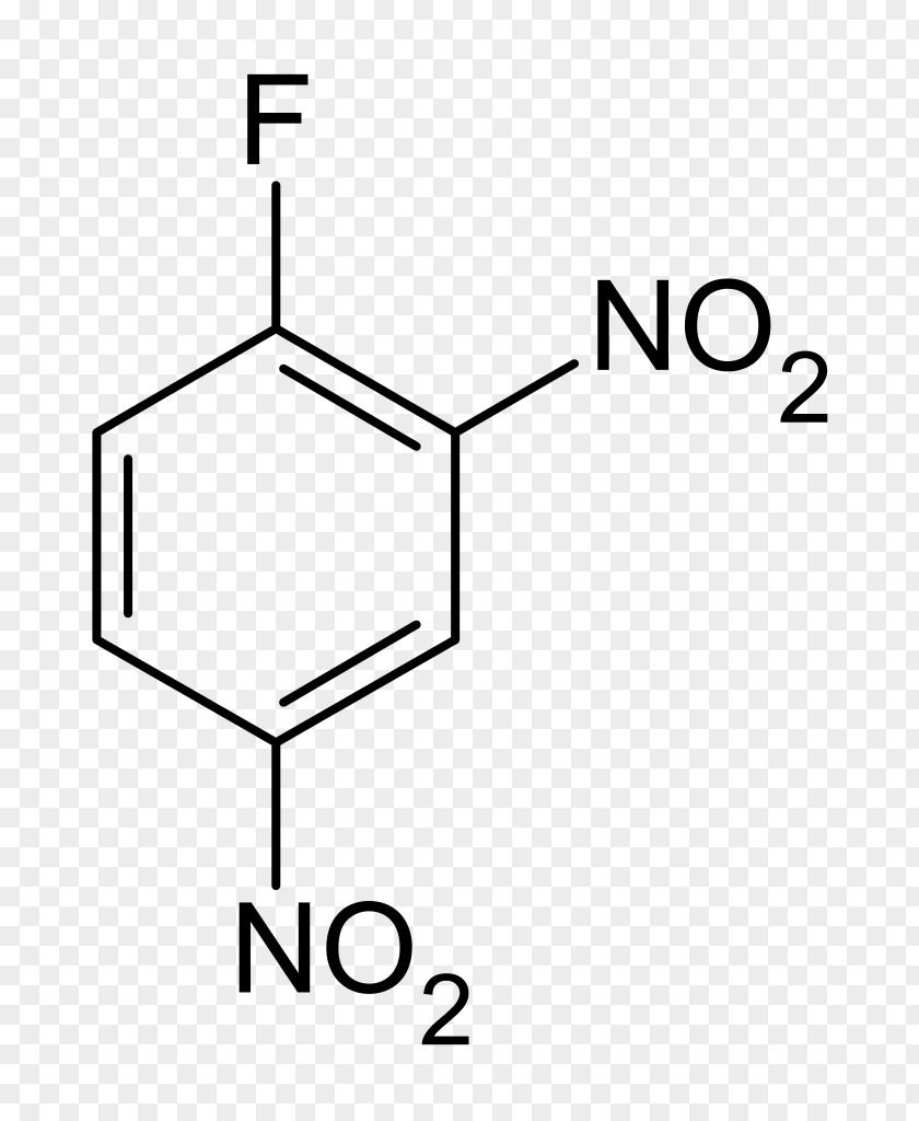1-Fluoro-2,4-dinitrobenzene Fluorine Nitro Compound Chemical PNG