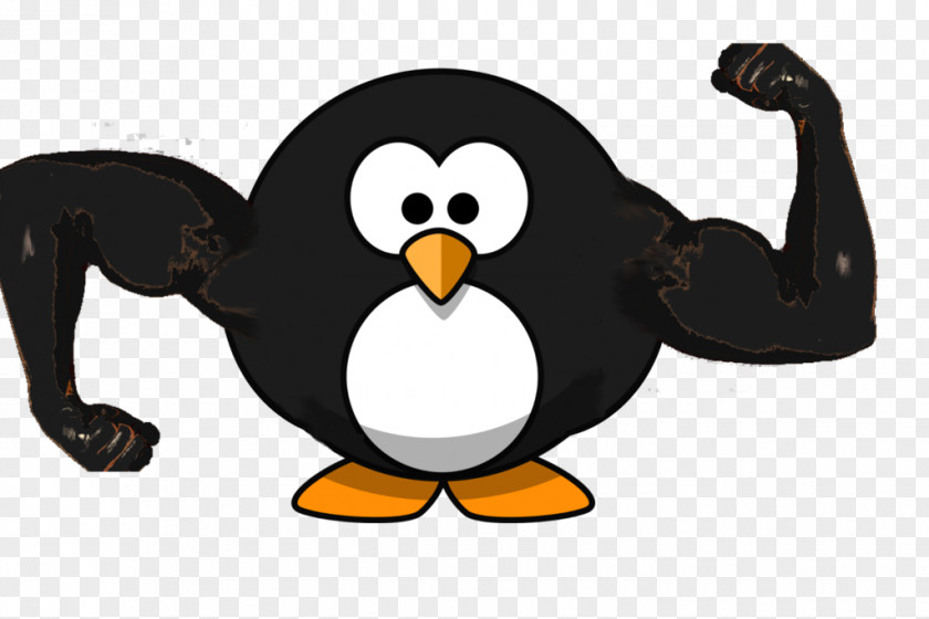 Big Penguin Cartoon Animation Clip Art PNG