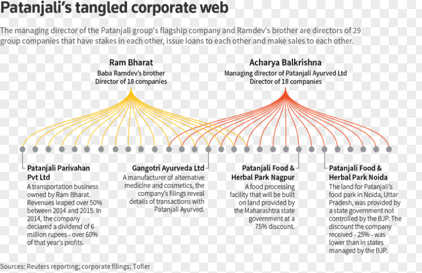 Business Nagpur Patanjali Ayurved Bharatiya Janata Party Brand PNG