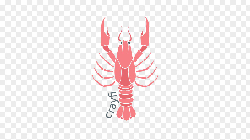 Lobster Seafood Crab Oyster Illustration PNG