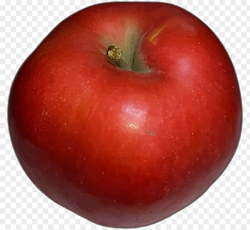 Red Apple McIntosh Clip Art PNG
