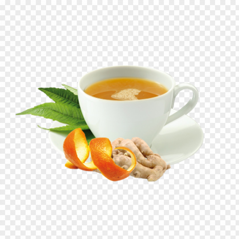 Coffee Cup Green Tea Mate Cocido PNG
