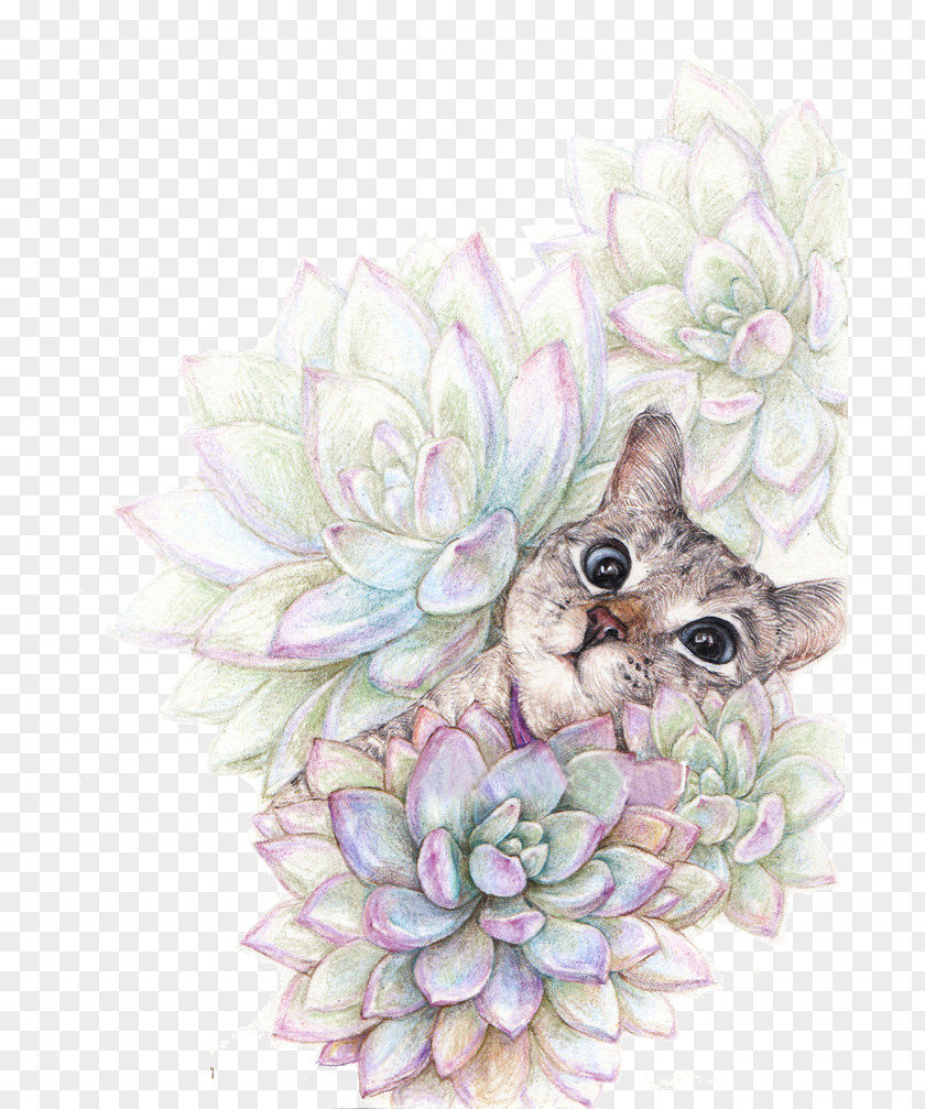 Cute Cat Succulent Plant Watercolor Painting Colored Pencil Illustration PNG