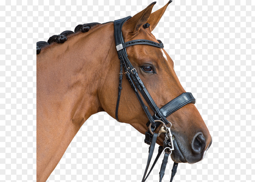 Horse Halter Bridle Rein Snaffle Bit PNG