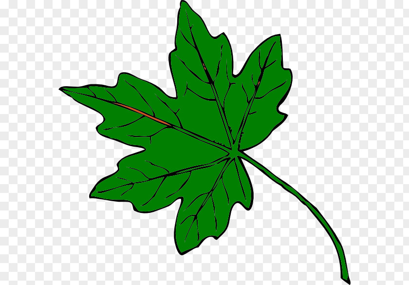 Leaf Maple Clip Art PNG