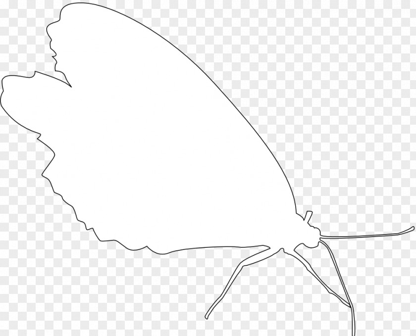 Butterfly Drawing /m/02csf Line Art Clip PNG