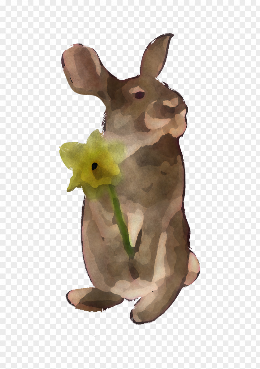 Easter Bunny PNG