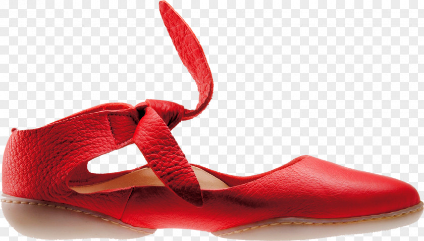 Footwear Shoe Patten Ballet Flat Leather PNG