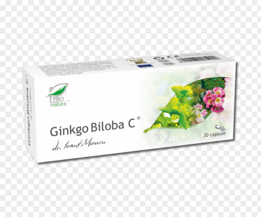 Ginkgo-biloba Ginkgo Biloba Plant Damiana Ingredient Elecampane PNG