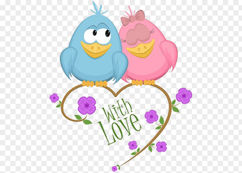 Love Birds Lovebird Owl Clip Art PNG