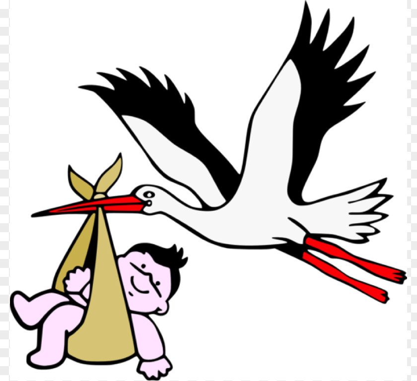 Stork Baby Pictures Child Birth Infant Knowledge Obstetrics And Gynaecology PNG