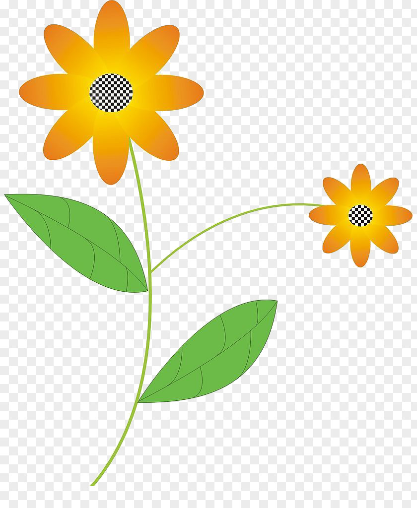Sunflower Flower Flora Petal Illustration PNG
