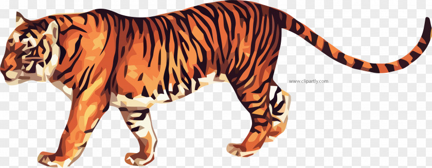 Tiger Frame Tigger Clip Art Image GIF Bengal PNG