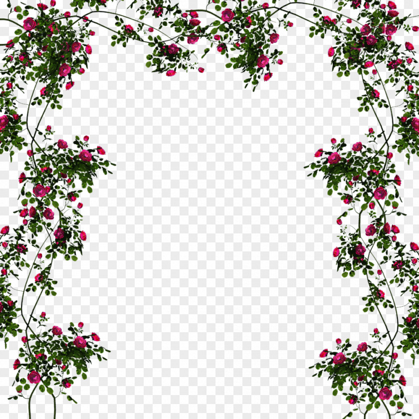 Ucket Cut Flowers Floral Design Floristry Petal PNG