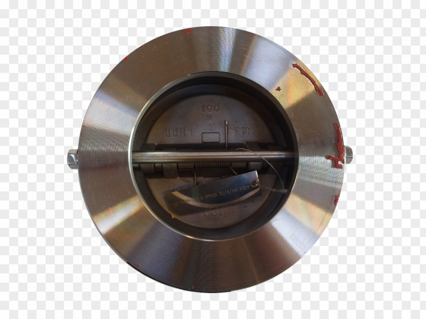 Wafer Butterfly Valve Gate Check Steel Casting PNG