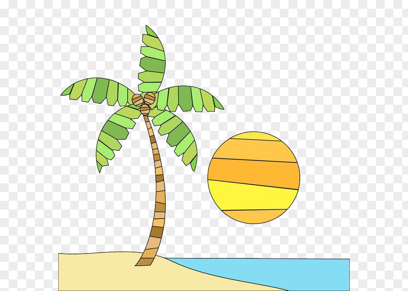 Coconut Trees On The Beach Photography Illustration PNG