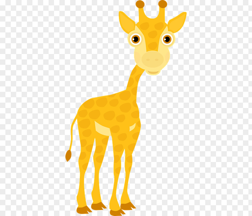 Giraffe Clip Art Vector Graphics Image PNG
