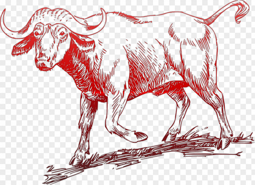 Goat Ox Water Buffalo English Longhorn Clip Art PNG