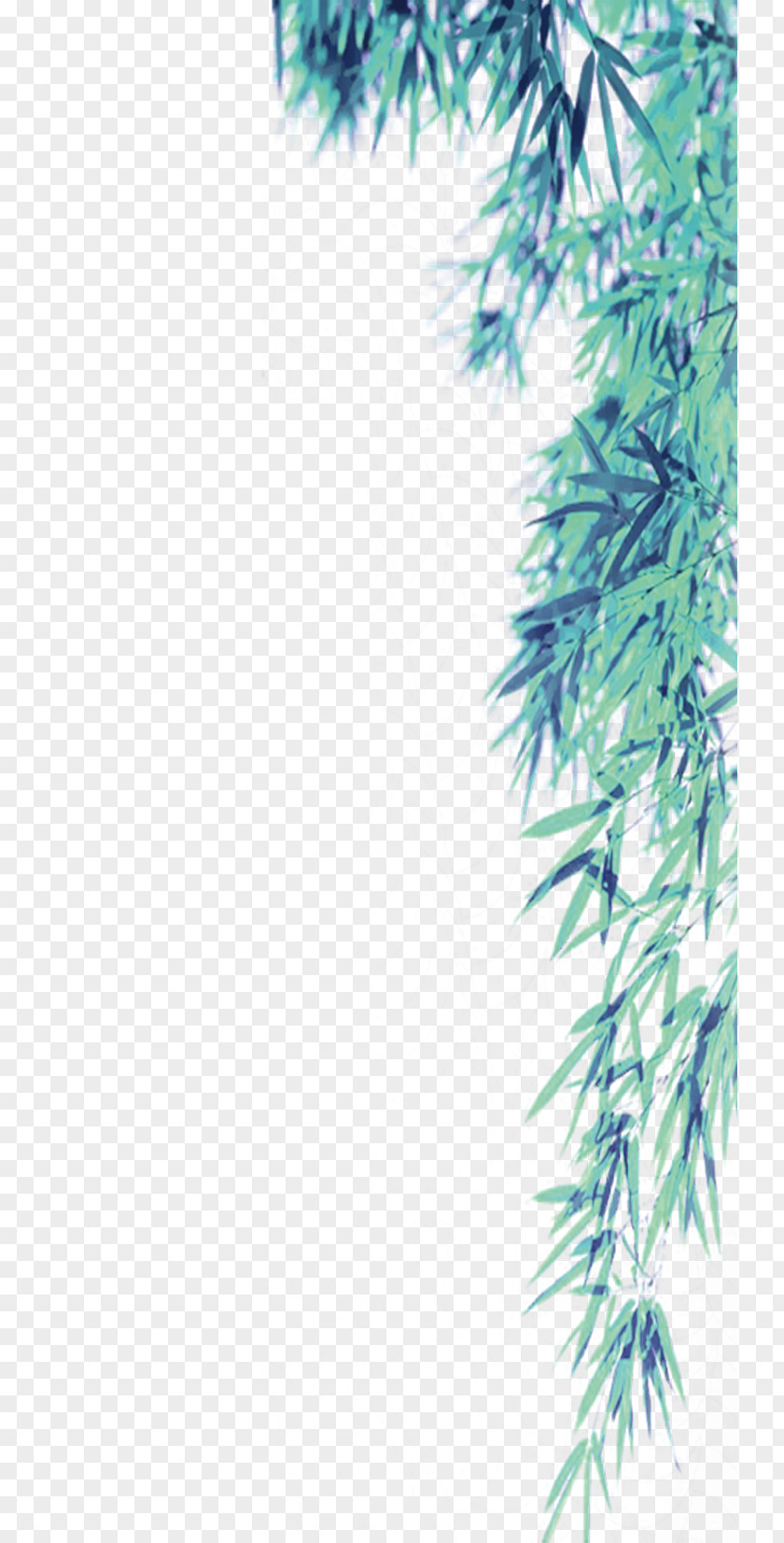 Green Bamboo Leaves Border Texture Qingming PNG