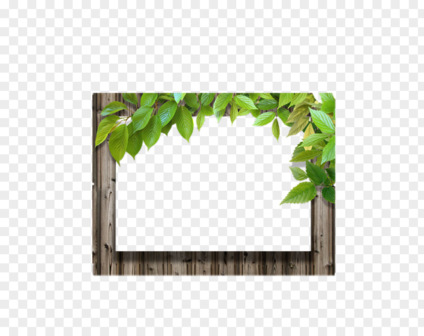Leaves With Wood Frame Picture Leaf PNG