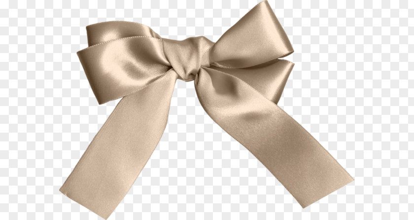 Silk Bow Furniture PNG