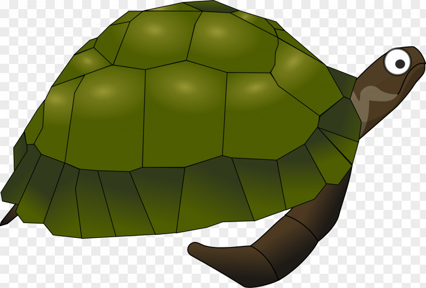 Turtle Cartoon Sea Common Snapping Clip Art PNG