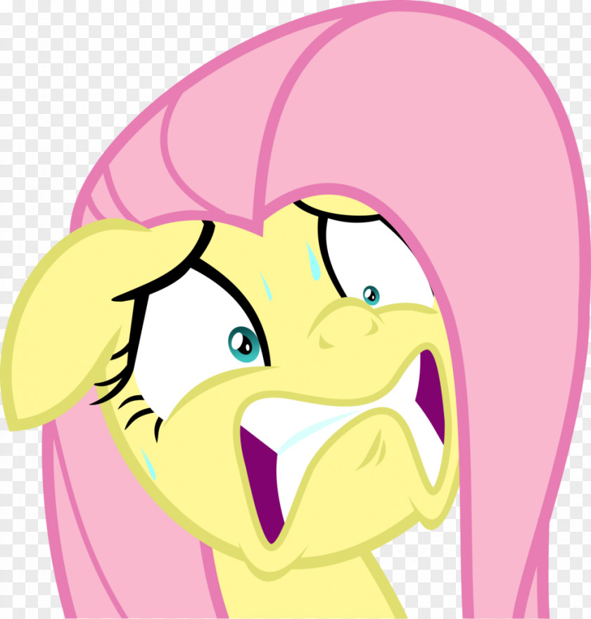 Fluttershy Angry Face Derpy Hooves Video PNG