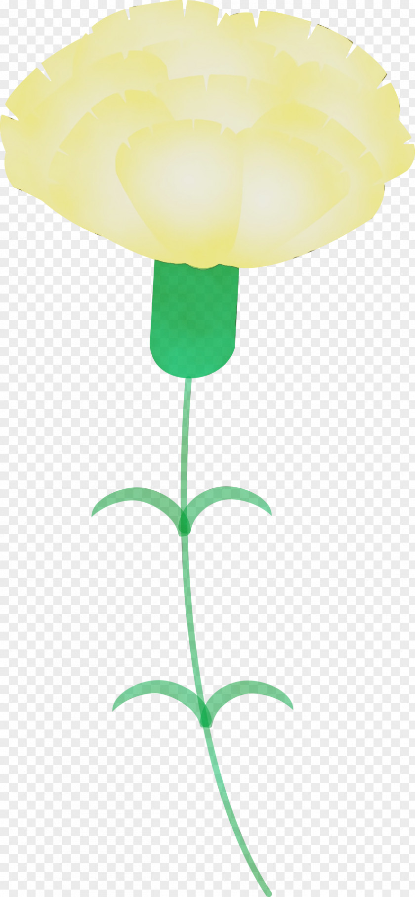 Yellow Plant Flower Tulip Stem PNG