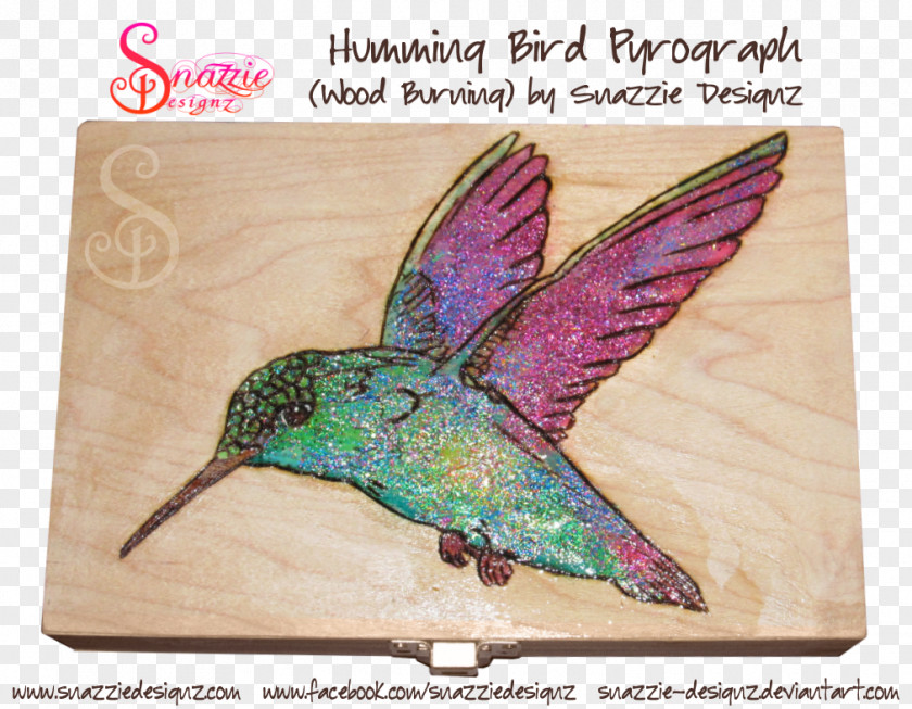 BURNT WOOD Hummingbird DeviantArt Pyrography Artist PNG