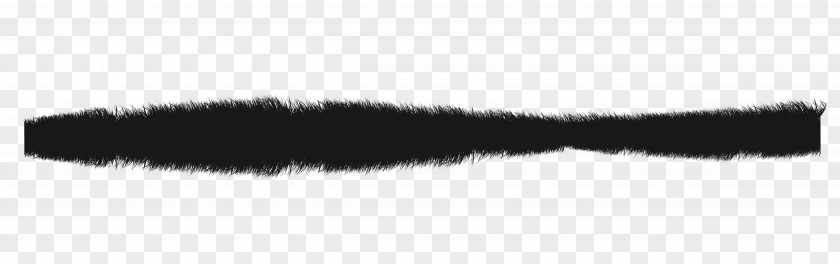 Dark Distant Grass Black White Brush Angle Font PNG