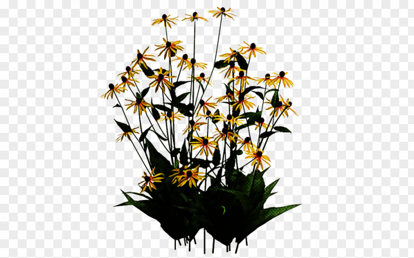 Flower Plant Cut Flowers Dendrobium Wildflower PNG