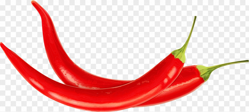 Food Capsicum Mouth Cartoon PNG