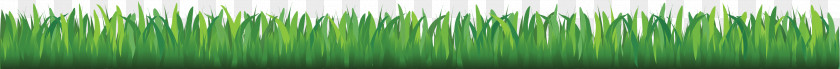 Grass Wheatgrass Angle Close-up Pattern PNG