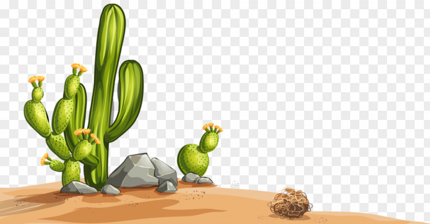 Painted Desert Cactus Cactaceae Illustration PNG