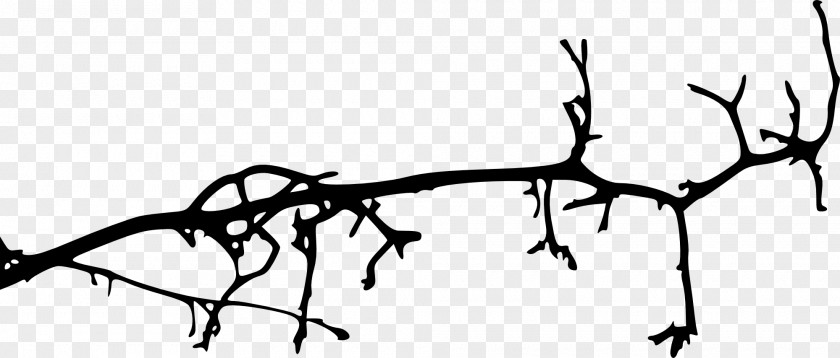 Tree Branch Silhouette PNG